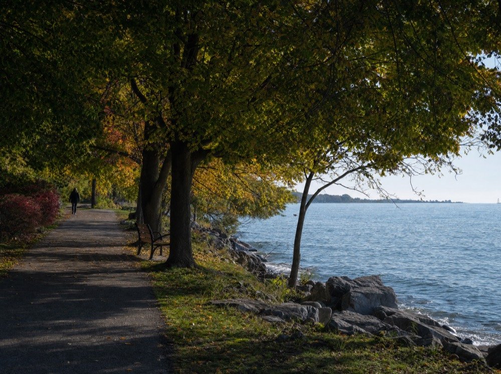 A paved park path along a lakeshore under tall mature trees in early autumn, a bench facing the water