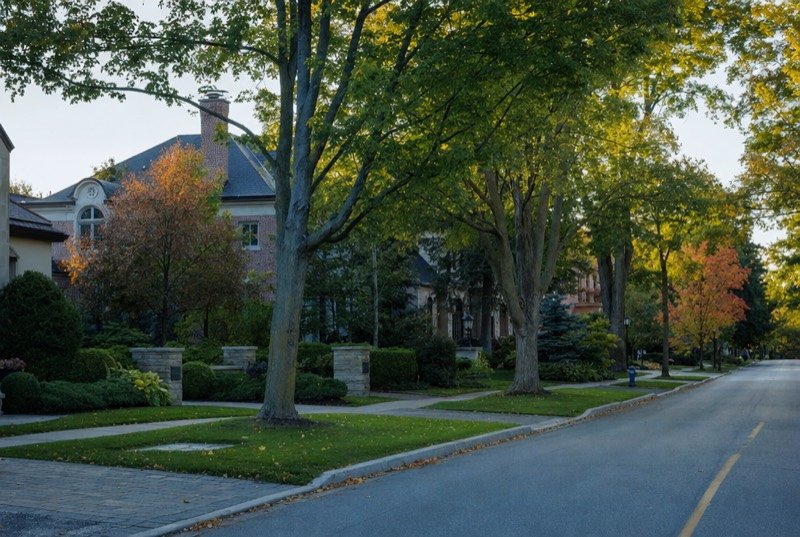 Large brick and stone family homes with deep lawns along a quiet street of mature maples in early autumn